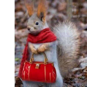 Meet your Posher, Melissa